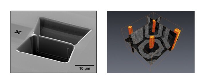 Microscope à balayage à double faisceau (colonne électronique et colonne ionique focalisée (FIB))